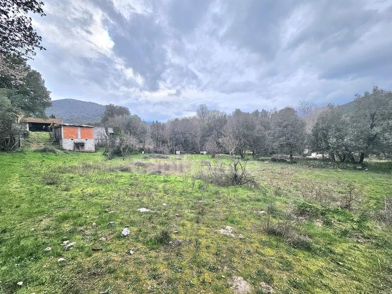 Maison - 193 m² - 5 pièces