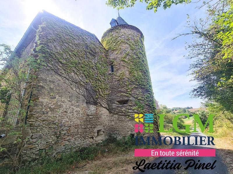 Château - 294 m² - 9 pièces