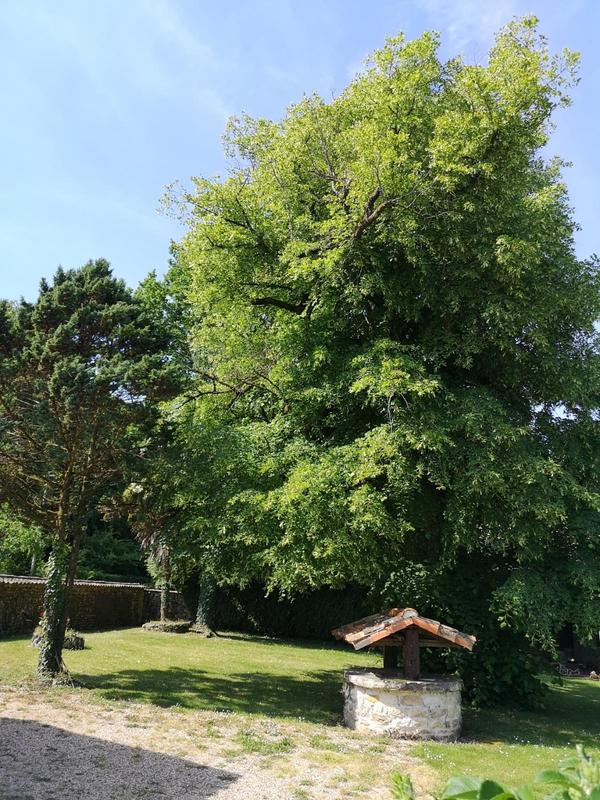 Maison - 222 m² - 5 pièces