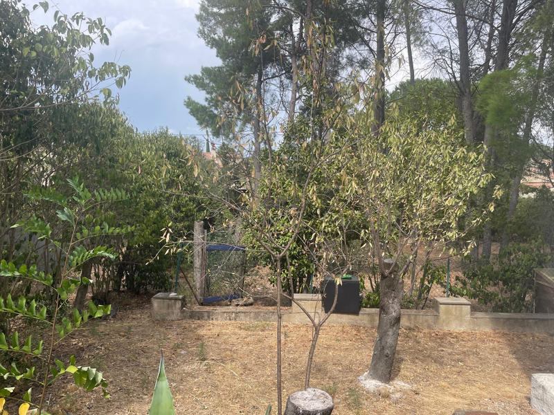 Maison traditionnelle - 214 m² - 8 pièces