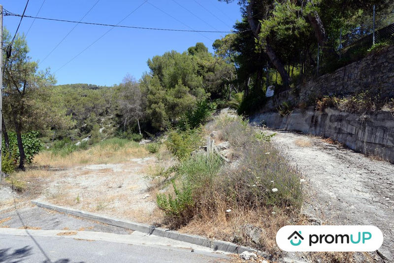 Terrain - 10 000 m²