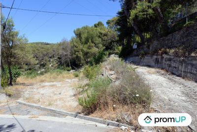 Terrain - 10 000 m²