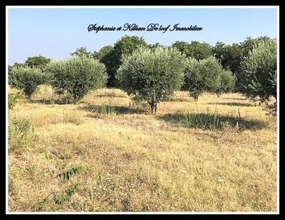 Terrain agricole - 24 630 m²