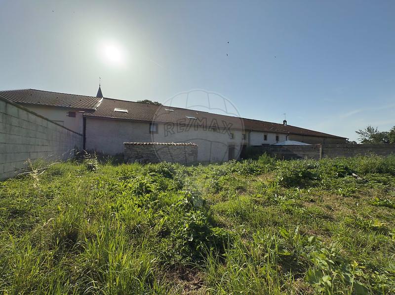 Cave / Box - 309 m²