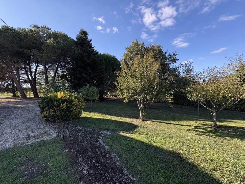 Viager - Maison - 364 m² - 6 pièces