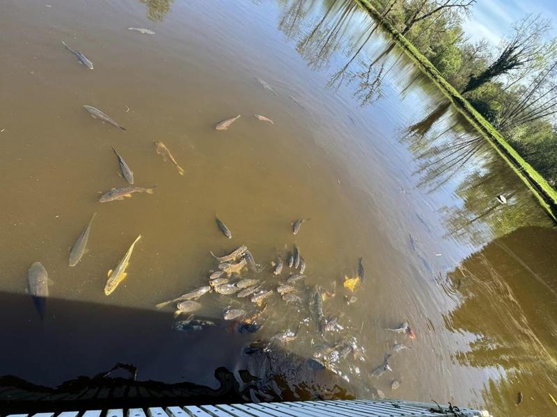 Maison - 300 m² - 7 pièces