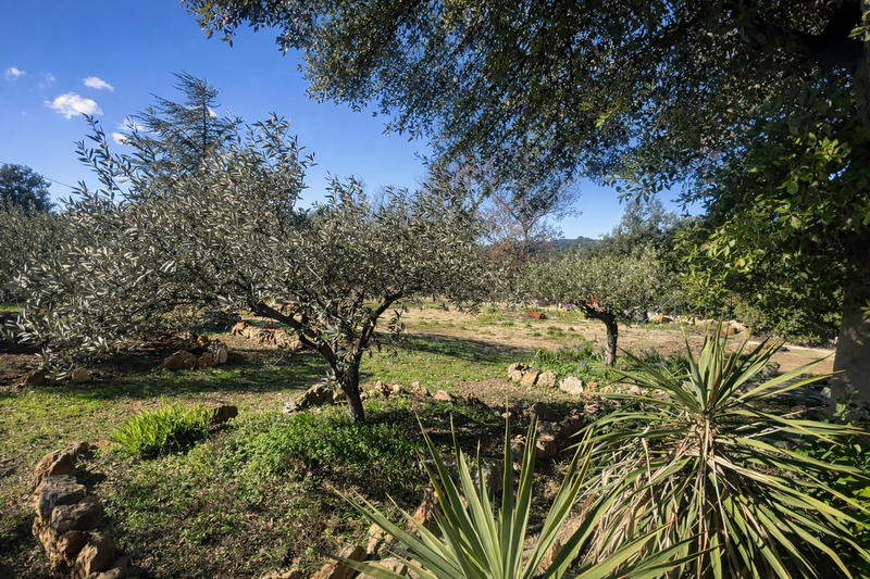 Villa - 330 m² - 11 pièces