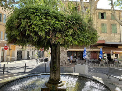 Local commercial - 119 m²