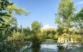 Appartement - 79 m² - 4 pièces