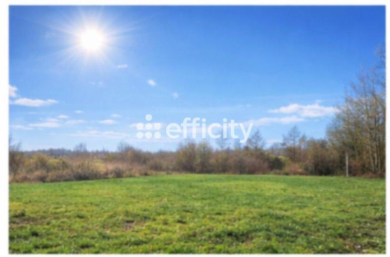Terrain - 3 601 m²