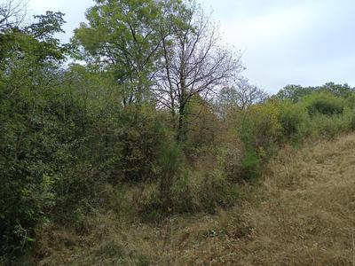 Terrain agricole - 33 821 m²