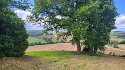 Terrain - 220 000 m²