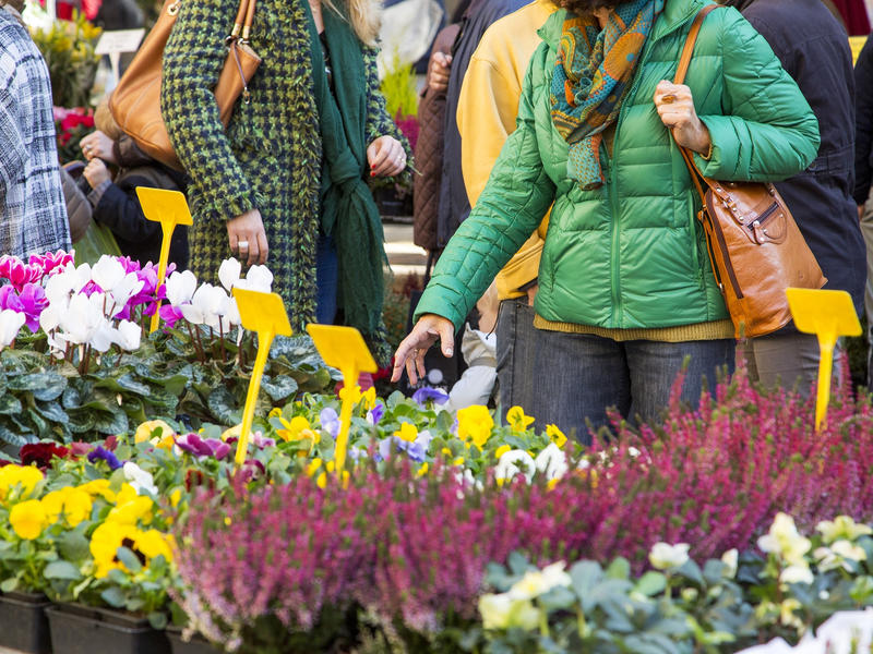 Le marché aux fleurs d'Aix-en-Provence