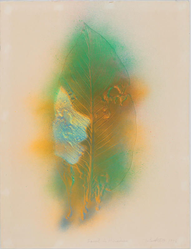 Chères créatures - exposition collections dans les murs