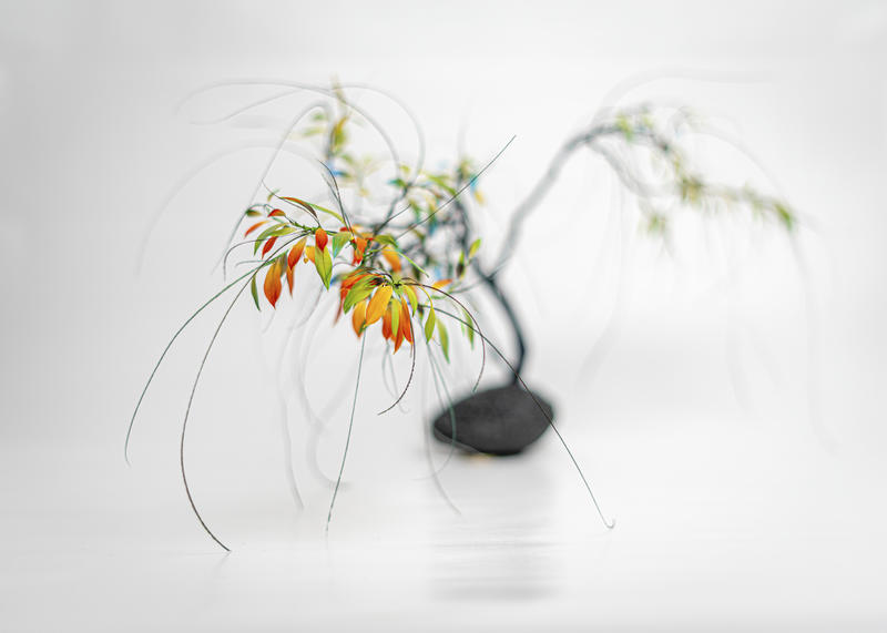 Exposition : à l'accélération et à l'oubli