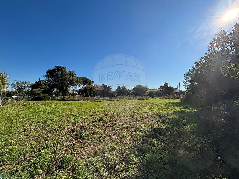 Maison - 174 m² - 5 pièces