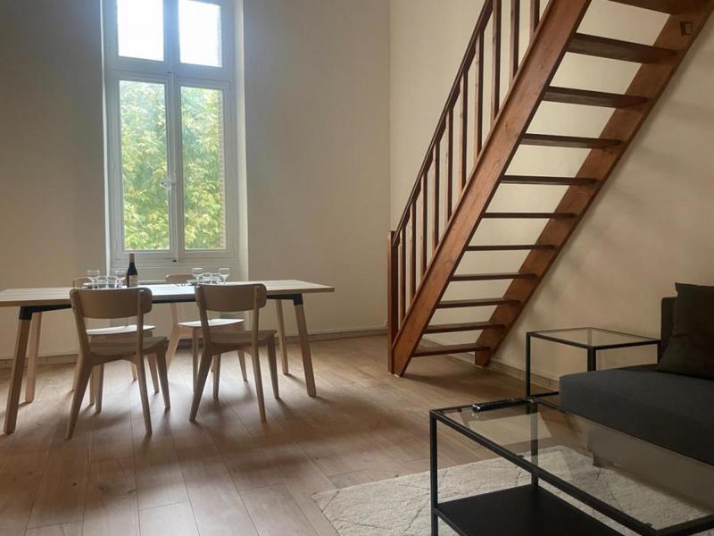 Appartement - 50 m² - 1 pièce