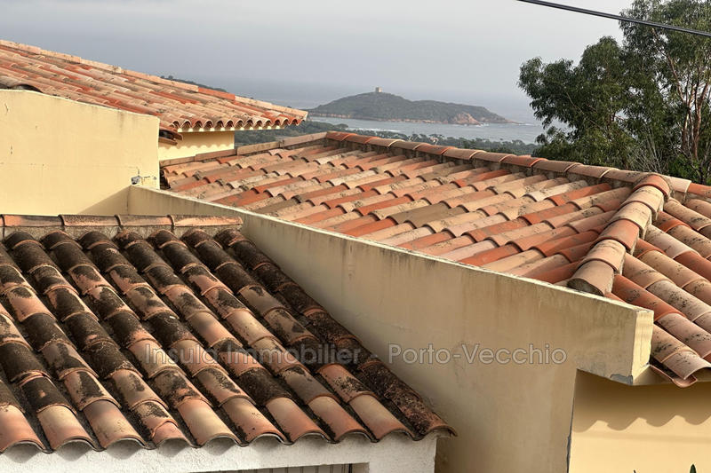 Appartement - 19 m² - 1 pièce