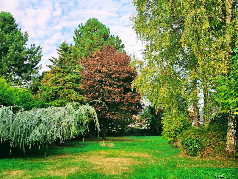 Maison - 250 m² - 9 pièces