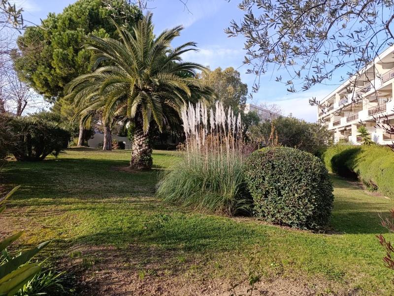 Studio - 24 m² - 2 pièces