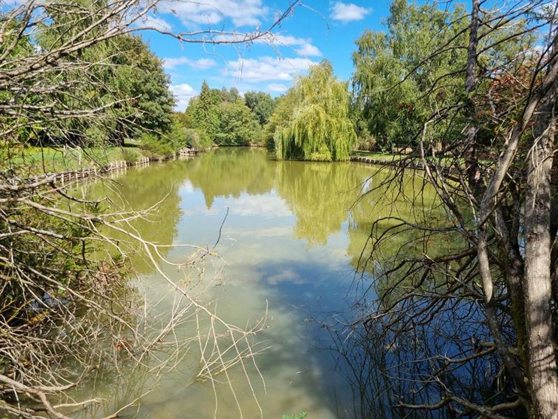 Maison - 156 m² - 8 pièces