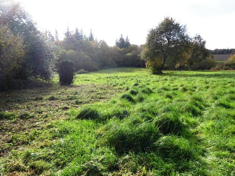 Maison - 160 m² - 9 pièces