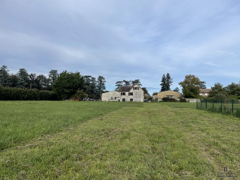 Terrain - 11 654 m²