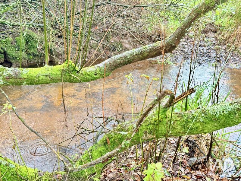 Maison - 142 m² - 7 pièces