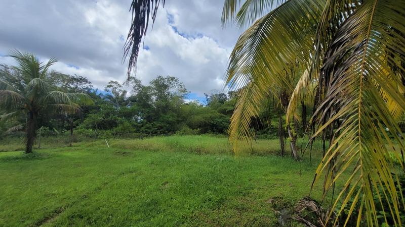 Terrain constructible - 3 900 m²