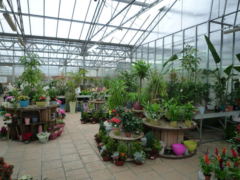 Local commercial - 1 022 m² - 7 pièces