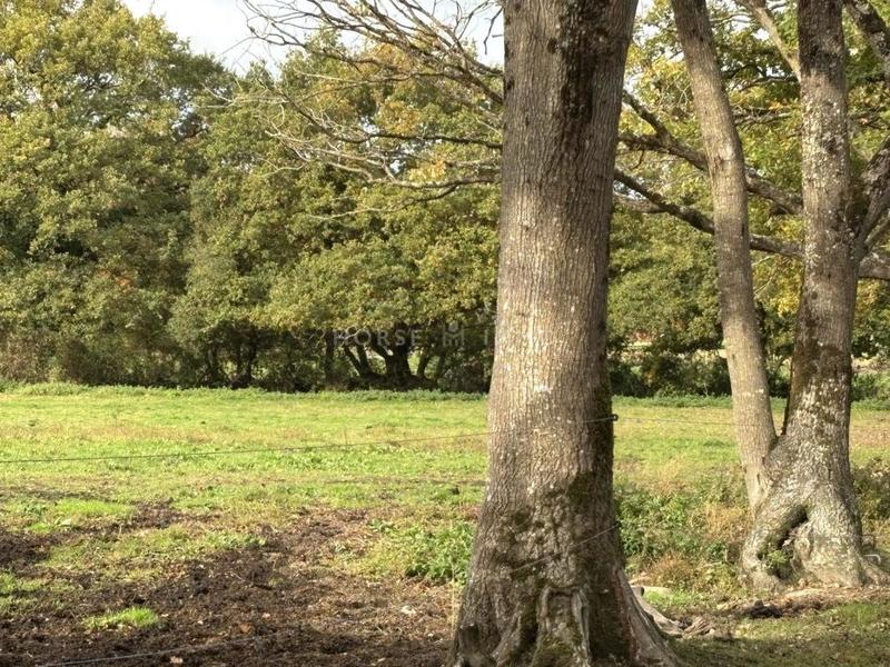 Maison de domaine équestre - 110 m² - 6 pièces