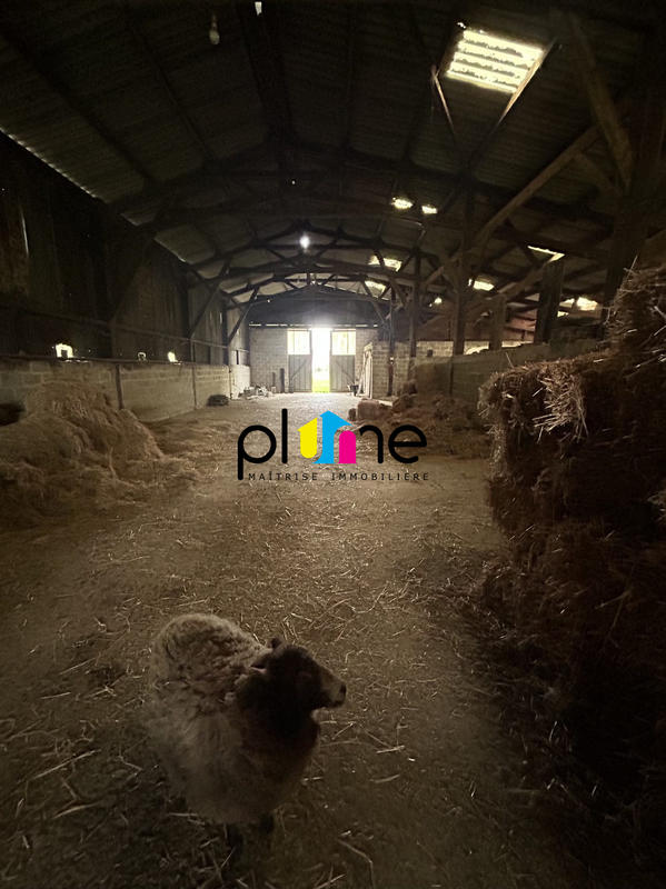 Maison - 169 m² - 7 pièces