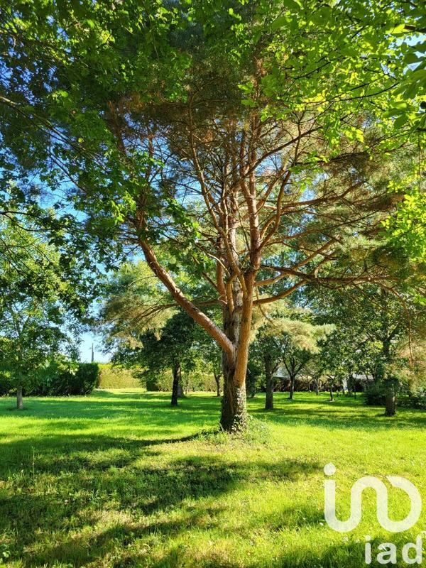 Maison de campagne - 136 m² - 7 pièces