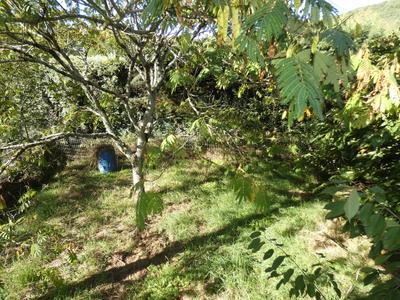 Maison - 62 m² - 3 pièces