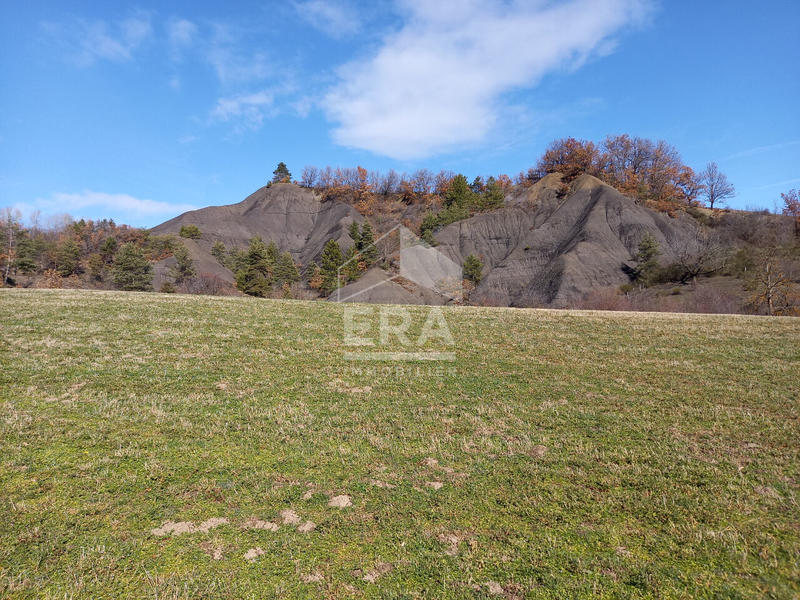 Terrain - 717 m²