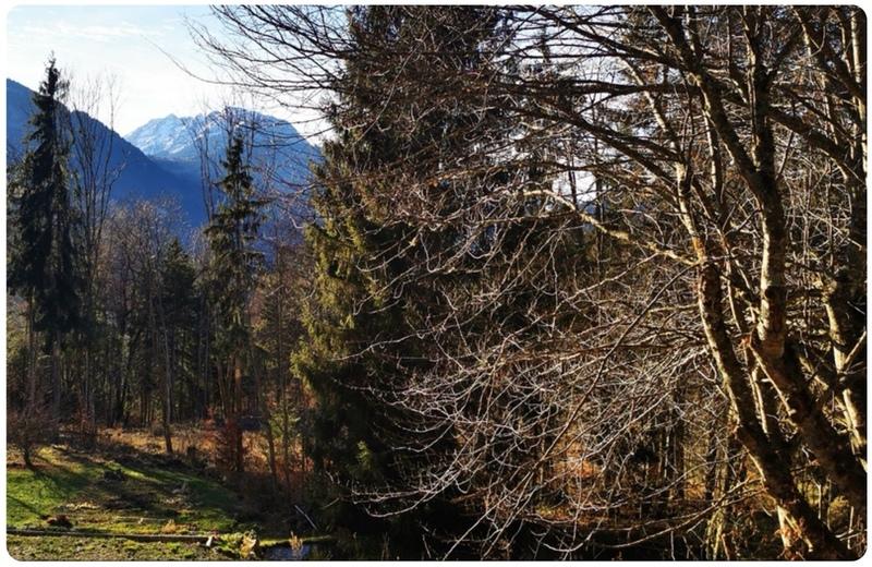 Terrain agricole - 15 405 m²