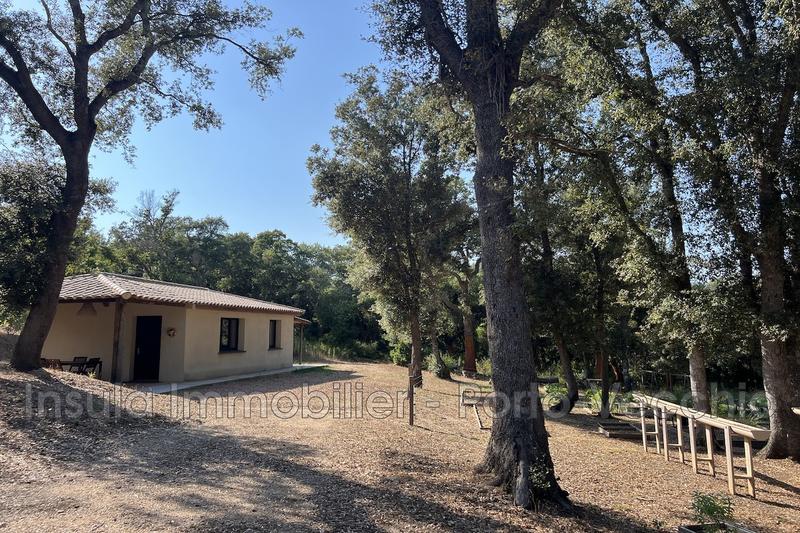 Villa - 277 m² - 10 pièces