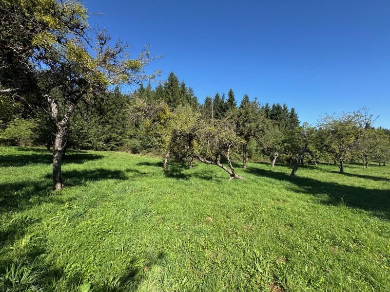 Corps de ferme - 120 m² - 6 pièces