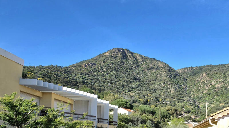 Appartement - 30 m² - 1 pièce