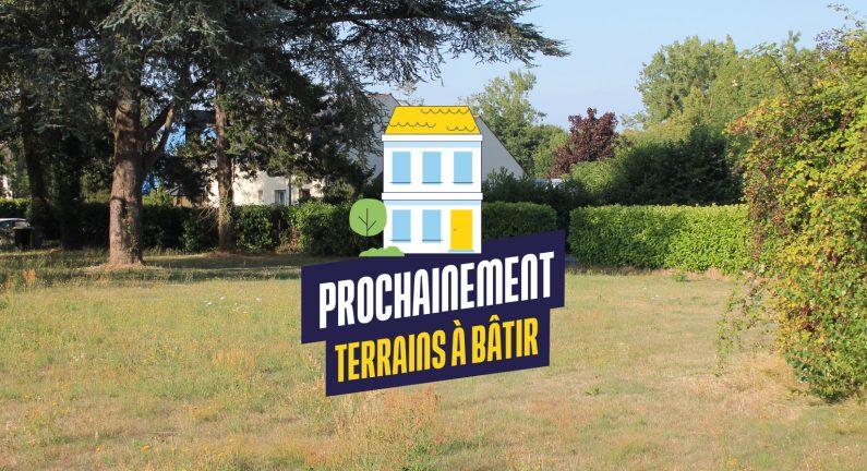 Terrain constructible