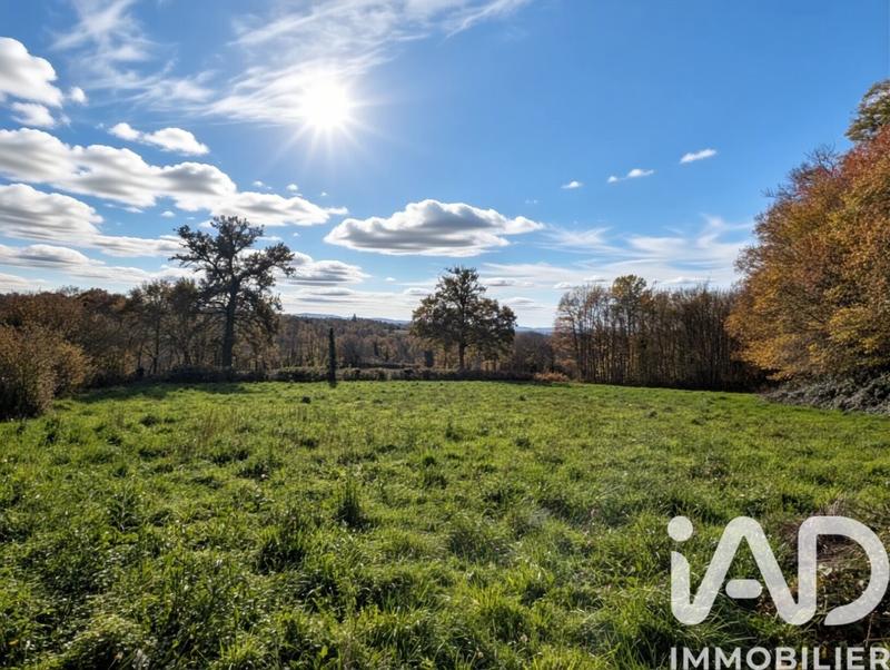 Maison de campagne - 120 m² - 5 pièces