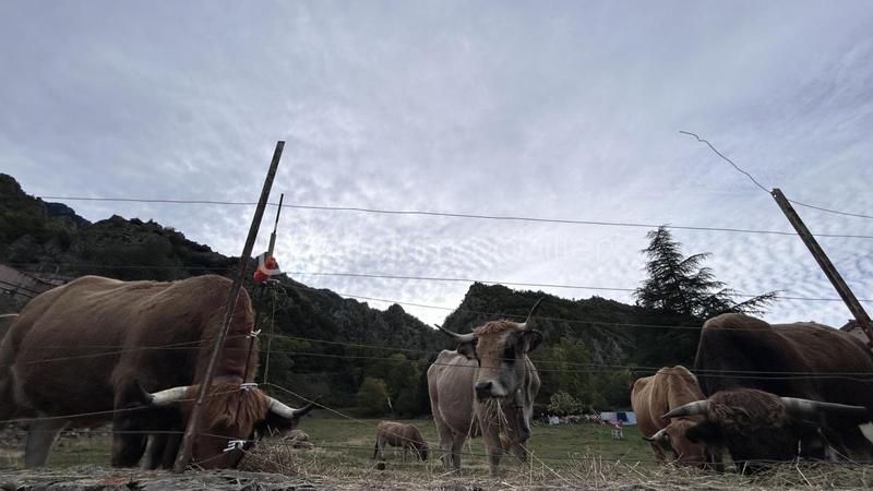 Maison de village - 68 m² - 3 pièces