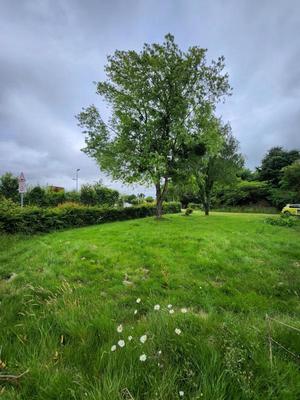 Terrain constructible - 586 m²