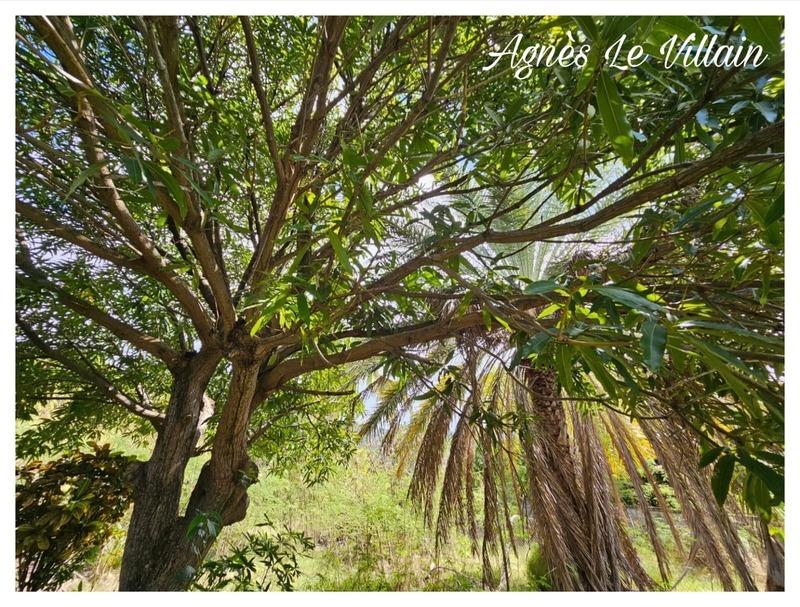 Terrain constructible - 1 501 m²