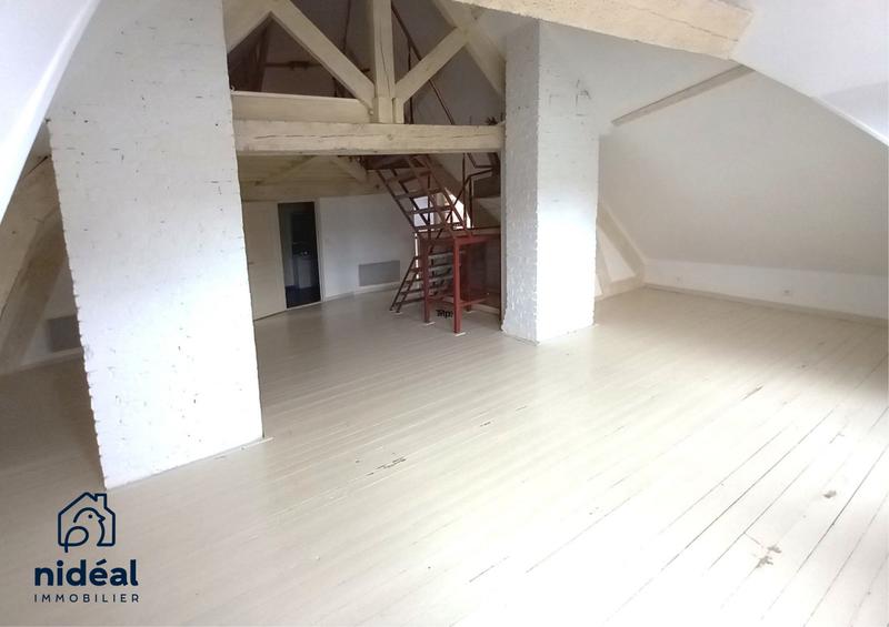 Loft - 45 m² - 2 pièces