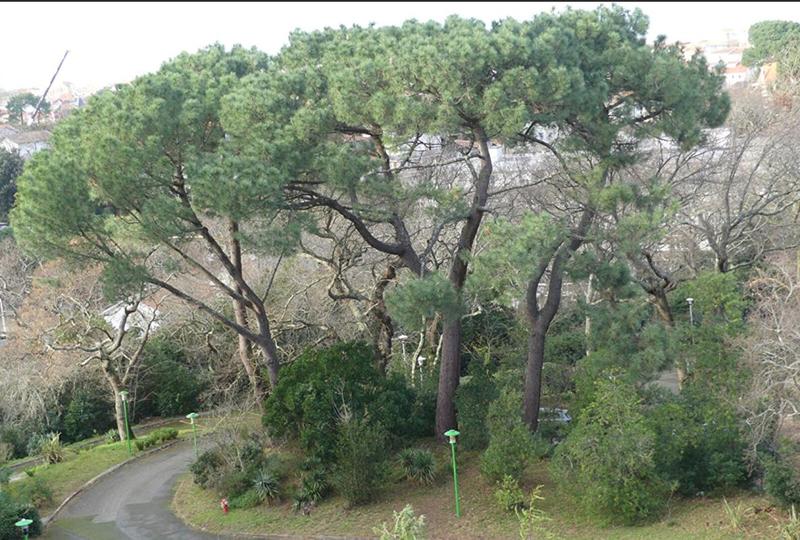 Appartement - 34 m² - 1 pièce