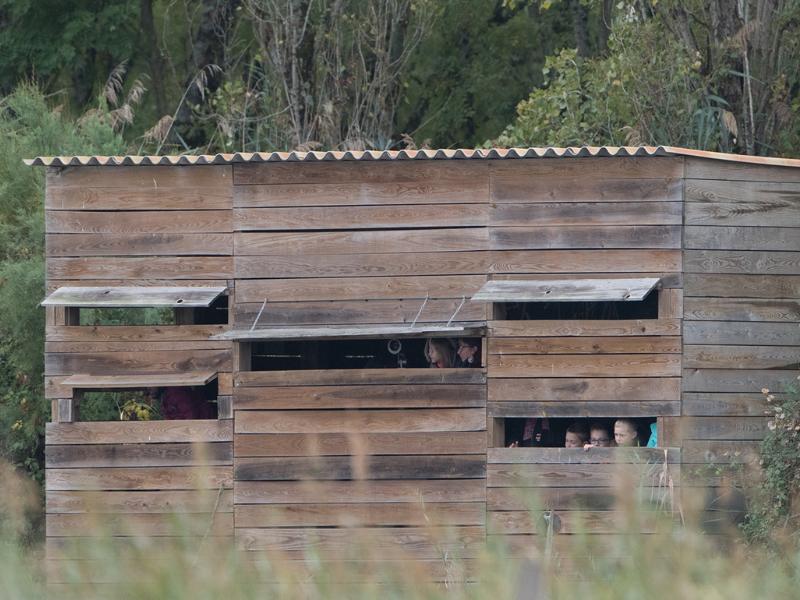 Fête de la biodiversité