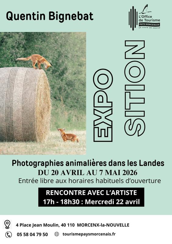 Quentin Bignebat - Photos Animalières des Landes