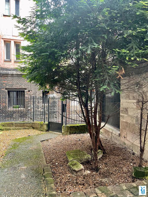 Appartement - 8 m² - 1 pièce