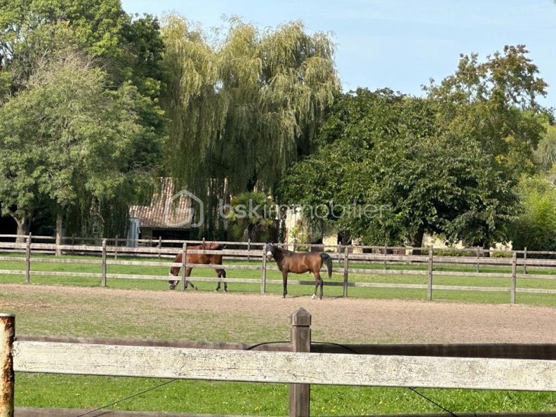 Longère - 154 m² - 7 pièces